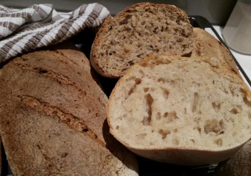 My first sourdough loaves