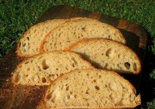 (1a) crumb of Sourdough from my very first Sourdough post