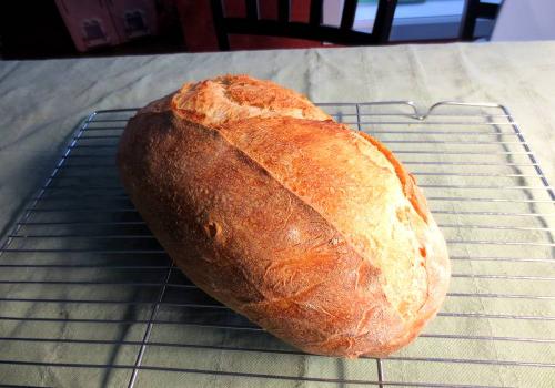 White sourdough bread