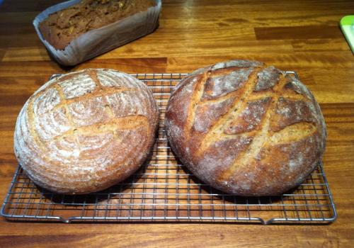 sourdough with pumpkin seeds