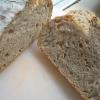 spelt sourdough crumb