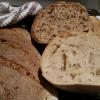 My first sourdough loaves