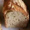 Crumb of levain