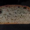 (12a) crumb of Dan Lepard's Barm Bread