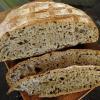 (23a) crumb of Ancient Grains Sourdough (Sourdough 7 x 7 x 7)