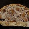(25a) crumb of Walnut Sourdough