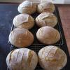 my first wood fired bread, in all it's glory.