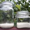 starter-2-lcontrol-leaven-day1.jpg