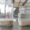 starter-2-lcontrol-leaven-day2.jpg